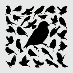 Bird Silhouette. A set of Bird silhouettes