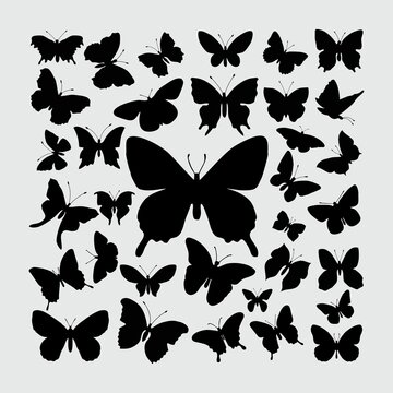 Butterfly Silhouette. A set of Butterfly silhouettes