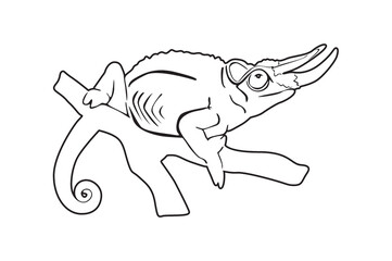chameleon Line art