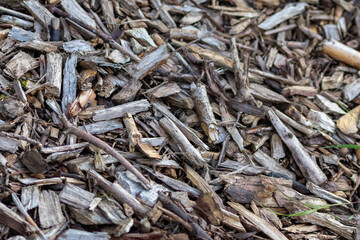 Shredded wood and wood chips after crushed recycling shows natural footpath in a forest or garden...