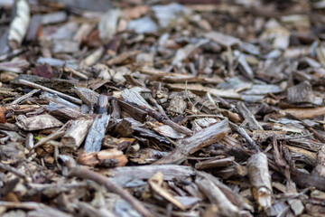 Shredded wood and wood chips after crushed recycling shows natural footpath in a forest or garden with compost or mulch from shaving of wood material as rough surface pattern with wooden fragments