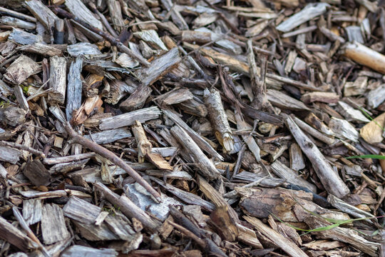 "Shredded Wood" Images – Browse 77 Stock Photos, Vectors, and Video ...