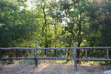 Fototapeta premium fence