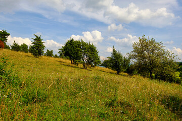 Fototapeta na wymiar Landschaft im Naturschutzgebiet Obernhardser Kuppe gegenüber der Milseburg, Bioshärenreservat Rhön, Hessen, Deutschland