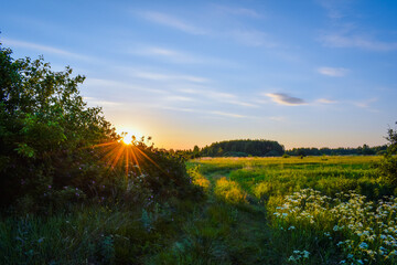 beautiful sunrise in the field