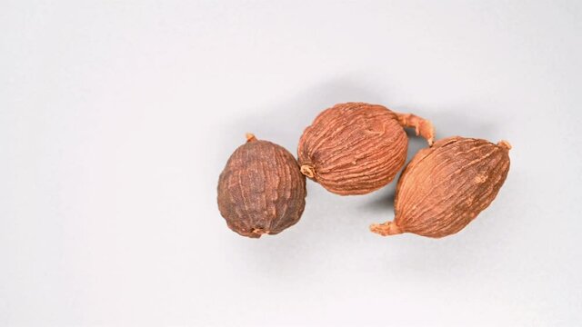 top pan herb CaoGuo or Tsaoko Fructus or Tsaoko Amomum Fruit