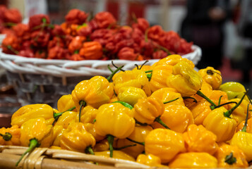 hot yellow or red chili pepper for sale at the market