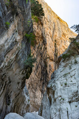 Fototapeta na wymiar (Selective focus) Stunning view of the Gorropu gorge. Gorropu is the most spectacular and deepest canyon in Europe and it is located in the Supramonte area, Sardinia, Italy.