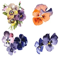 Pansies flowers watercolor isolated on white background set for all prints.