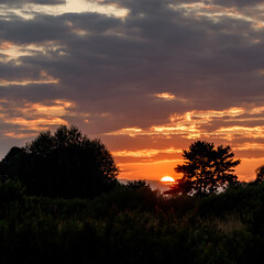 sunset in the forest
