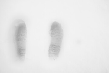 Naklejka premium Snowy landscape, snow, snowfall