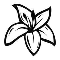 flower hand drawn illustration