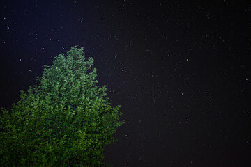 Fototapeta na wymiar A tree against the backdrop of bright night stars away from cities in the wild. Adventure traveling lifestyle. Concept wanderlust.