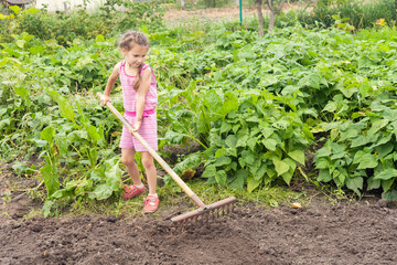In summer, a preschool girl in the backyard rows the ground with a long rake