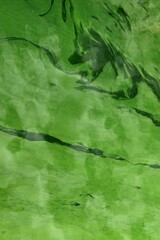 Cyanobacteria in the water. Dirty green water in a pond / dam in summer. Dangerous bathing for allergy sufferers. Environmental concept.