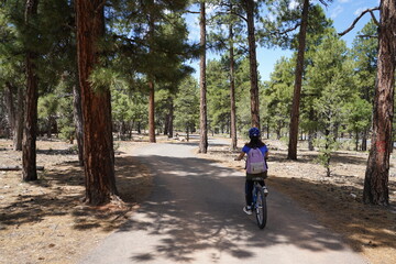 アリゾナ州グランドキャニオンをサイクリング