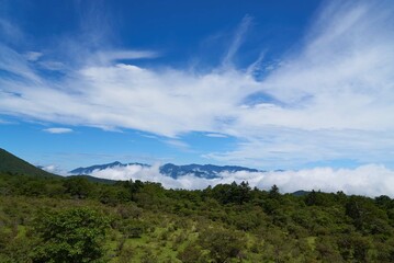 Naklejka premium 八方ヶ原 栃木県