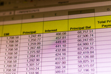Shot of an excel sheet on computer screen showing bank loan amortization table. Accounting