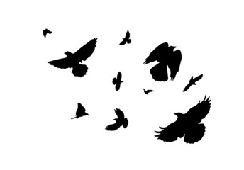 Fototapeta na wymiar A flock of flying birds. Monochrome flying doves. Vector illustration