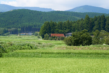 田園集落