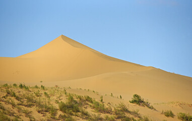 Fototapeta na wymiar The largest sand dune in Europe (Russia, Dagestan Republic, Sarykoum barkhan) 