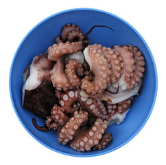 appetizing sliced pieces of fresh octopus are lying in a blue plate. ready to cook