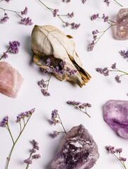Animal skull with mineral stones, crystals and purple flowers on bright white background. Scary...
