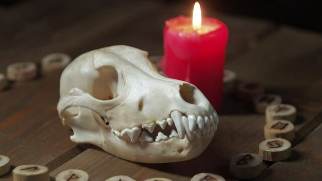 A candle in the wind burns next to the dog's skull and runes
