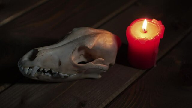 Skull and candle in lie on the table

