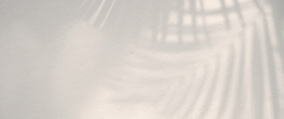 tropical leaves shadow on white wall