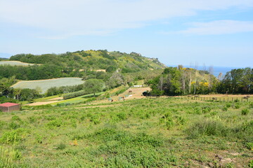 Parco san bartolomeo regione marche
