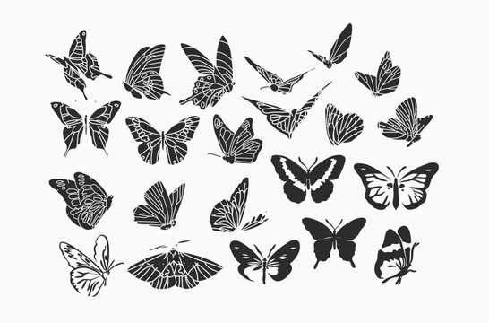Fototapeta Hand drawn vector abstract stock flat graphic illustrations collection set bundle with logo elements,bohemian magic line silhouette art of mystic flying butterfly and moth,feminine simple style.