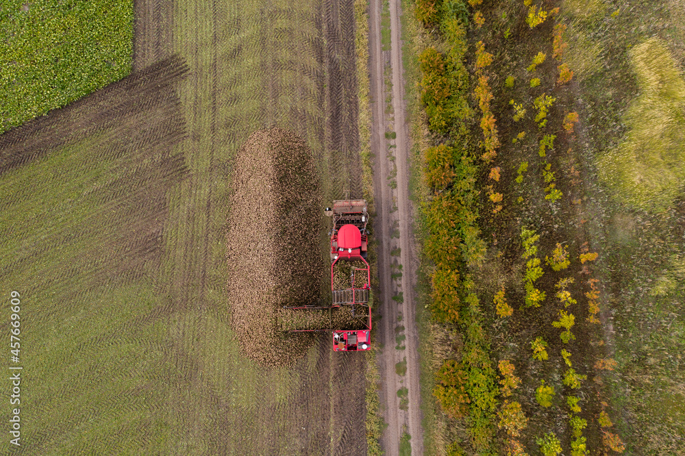 Aufkleber combine harvester pours the harvest of sugar beet into a heap on the field. aerial view
