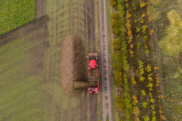 Combine harvester pours the harvest of sugar beet into a heap on the field. Aerial view	