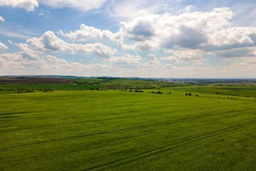 Fototapeta na wymiar Aerial landscape view of green cultivated agricultural fields with growing crops on bright summer day.