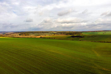 Aerial view of bright green agricultural field in early spring.