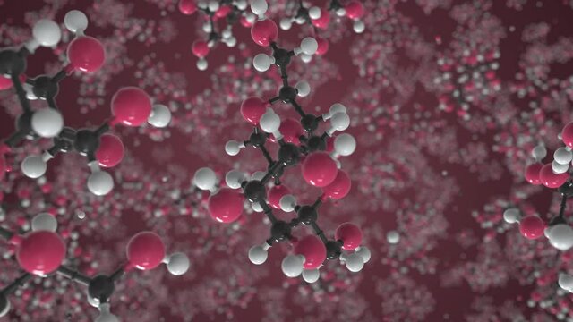 Lactose molecule made with balls, scientific molecular model. Chemical looping 3d animation