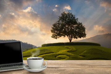 Coffee cup with laptop on a wooden table in nature sunset background.