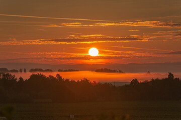 Alsace 