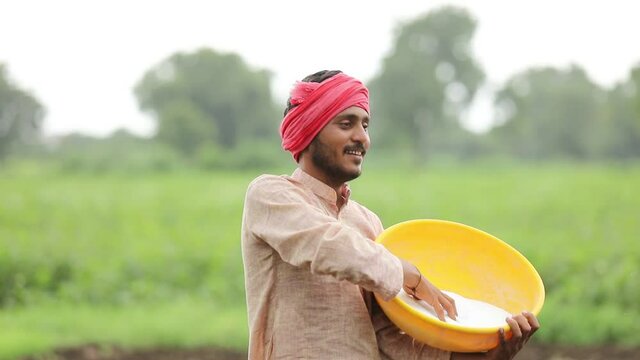 Indian farmer spreading fertilizer in the green agriculture field