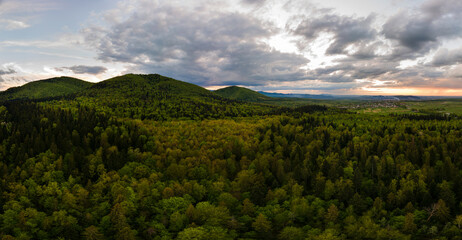 Aerial wide panoramic view of dark mountain hills covered with green mixed pine and lush forest in evening.