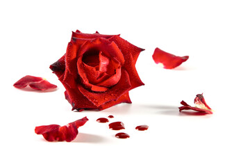 Image with a red rose