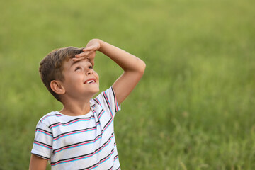 Cute little boy in field, space for text. Child spending time in nature