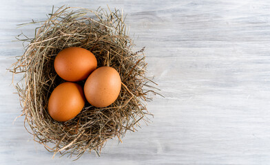 Closeup raw white brown organic fresh eggs shell with yolk from happy chicken hen free range farm on nature hatch grass straw nest healthy protein food symbol of spring season birth easter festival