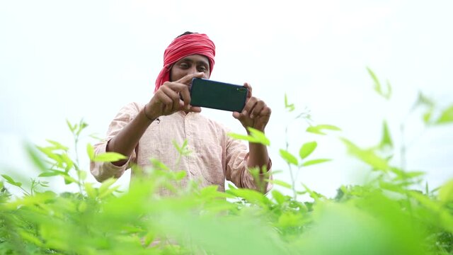 Young indian farmer using smartphone at agriculture field.