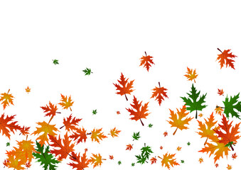 Red Plant Background White Vector. Maple November Illustration. Golden Paper. Season Frame. Yellow Leaves Celebrate.