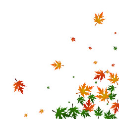 Gold Maple Background White Vector. Foliage Flying Template. Green Forest. Isolated Card. Brown Floral Logo.