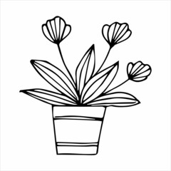 Hand drawn indoor plant in a pot, doodle design. Home plants. Illustration for print, web, mobile and infographics.