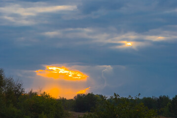 dramatic sunset over the forest glade