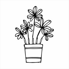 Hand drawn indoor plant in a pot, doodle design. Home plants. Illustration for print, web, mobile and infographics.